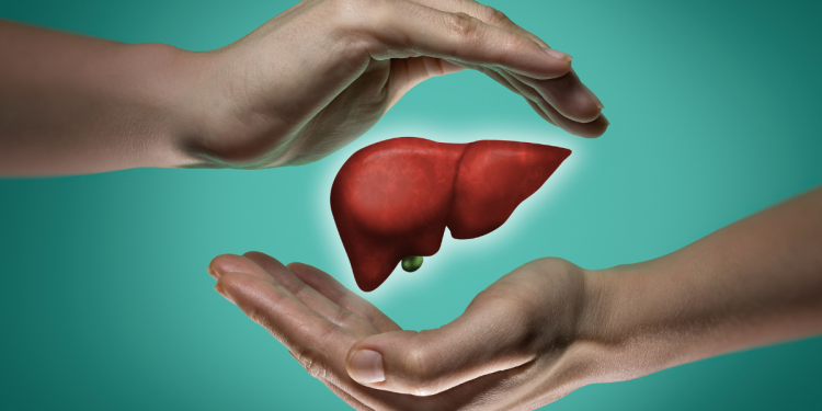 Liver