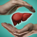 Liver