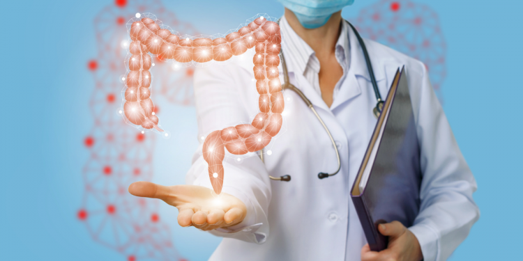Healthy colon