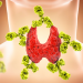 Thyroid