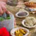ayurveda