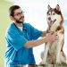 Common Diseases In Pets And How To Deal With Them