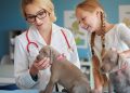 Puppy's first vet visit