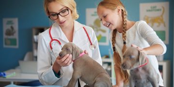 Puppy's first vet visit