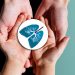 organ donation and scams