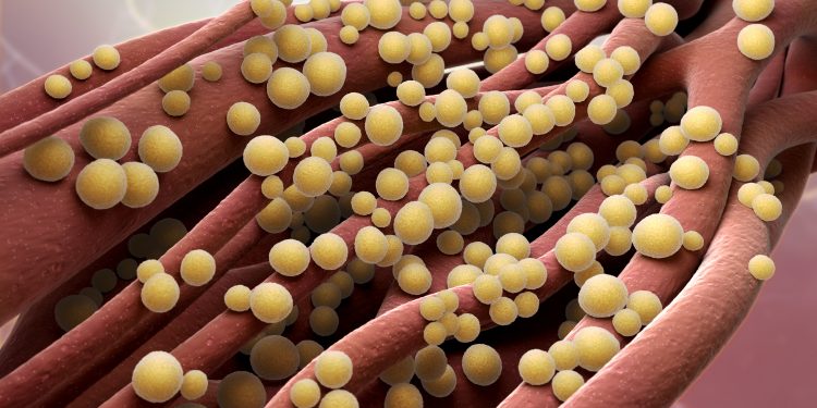 Feed your microbes: all about the microbiome