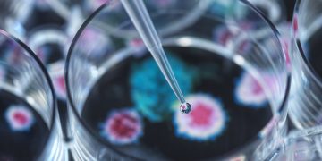 The Word “Tripledemic” and Panic it is Causing