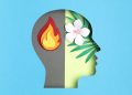 Mental Health: Bipolar Disorder Problem