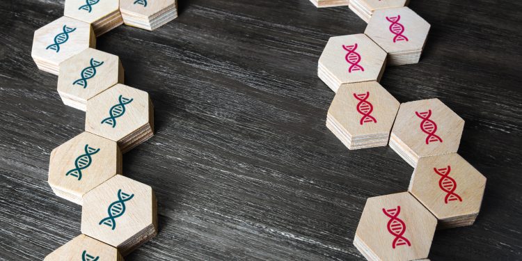 genetics and family history