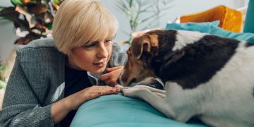 The Unique Bond between Pets and Human