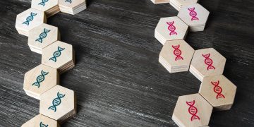 Genetics in Health: Personalized Medicine Potential