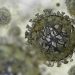 What is H3N2?