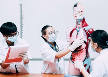 5 lesser known Facts about Human Body