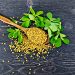 Fenugreek – All you need to know
