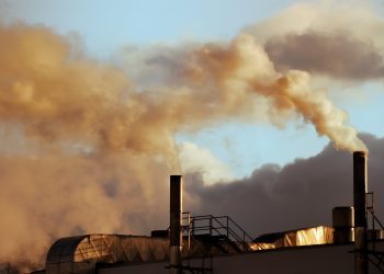 Poor Air Quality May Lead to Cognitive Problems in Infants 