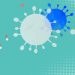 Chikungunya virus: Signs and Symptoms, Prevention and Treatment