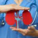 Kidney Disease: Early Detection and Management