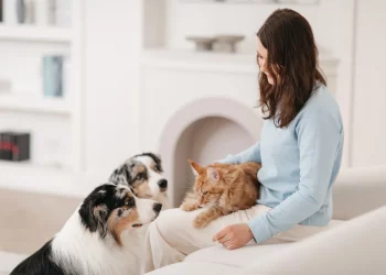 Featured-blog-Keeping Your Pet Healthy: Proactive Care & Early Detection