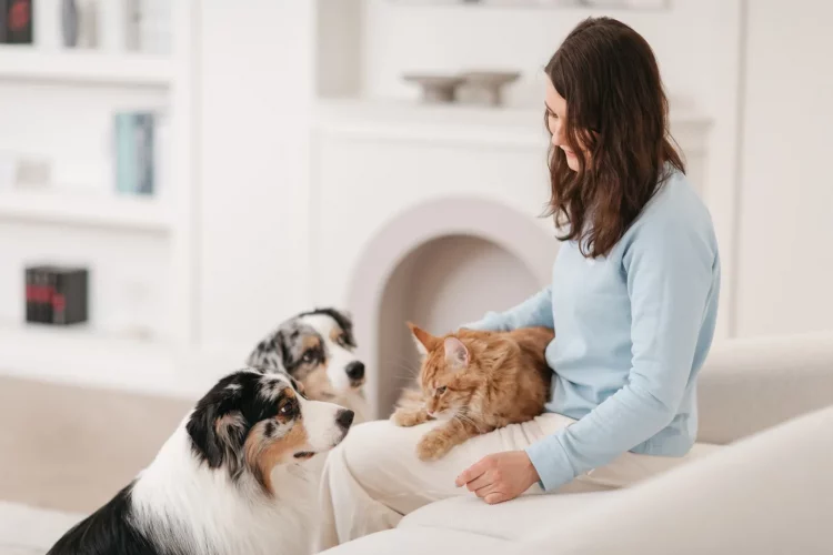 Featured-blog-Keeping Your Pet Healthy: Proactive Care & Early Detection