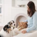 Featured-blog-Keeping Your Pet Healthy: Proactive Care & Early Detection