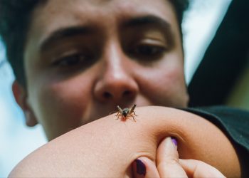 Preventing and Treating Bug Bites and Stings