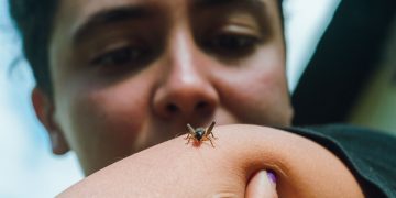 Preventing and Treating Bug Bites and Stings