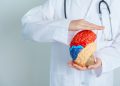 Understanding Alzheimer's Disease Causes, Symptoms, and Care