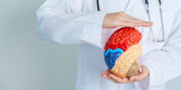 Understanding Alzheimer's Disease Causes, Symptoms, and Care