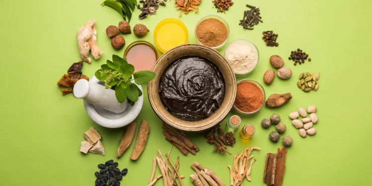 Ayurvedic Herbs for Brain