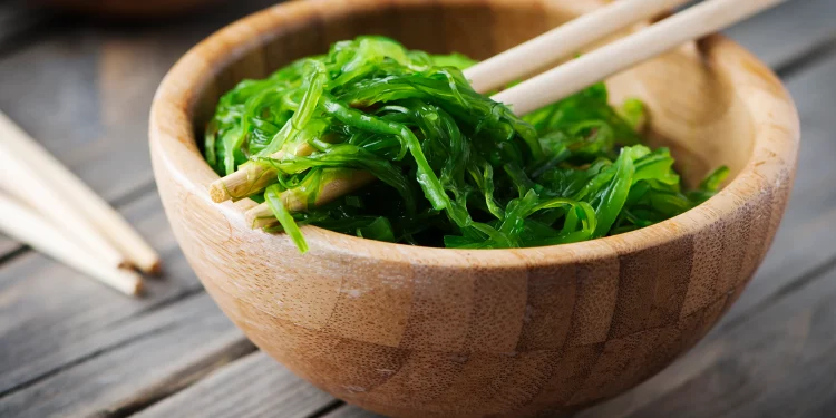 algae and seaweed sustainalble superfood