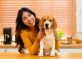 How to Keep Your Pet at a Healthy Weight