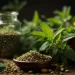Sustainable Living Through Ayurveda: A Green Revolution in Wellness