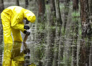 Contaminated Water Sources and Their Impact on Public Health