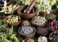 The Power of Herbal Medicine: Benefits and Safety Tips