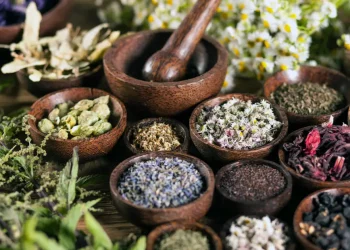 The Power of Herbal Medicine: Benefits and Safety Tips
