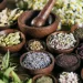The Power of Herbal Medicine: Benefits and Safety Tips