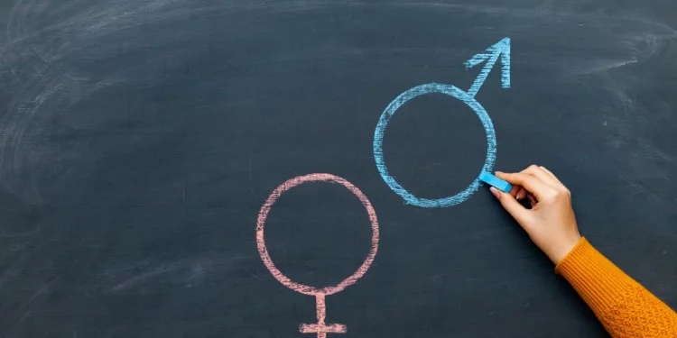 Understanding the Human Reproductive System: A Complete Overview