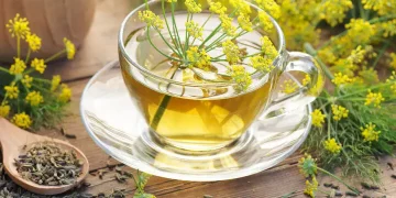 Ayurvedic Secrets for Better Digestion and Gut Health
