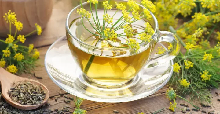 Ayurvedic Secrets for Better Digestion and Gut Health