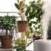 Indoor Air Quality: Why Your Home Environment Matters