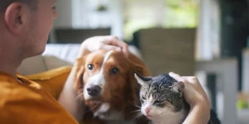 The Ultimate Guide to Responsible Pet Care for First-Time Owners