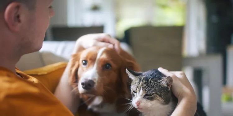 The Ultimate Guide to Responsible Pet Care for First-Time Owners